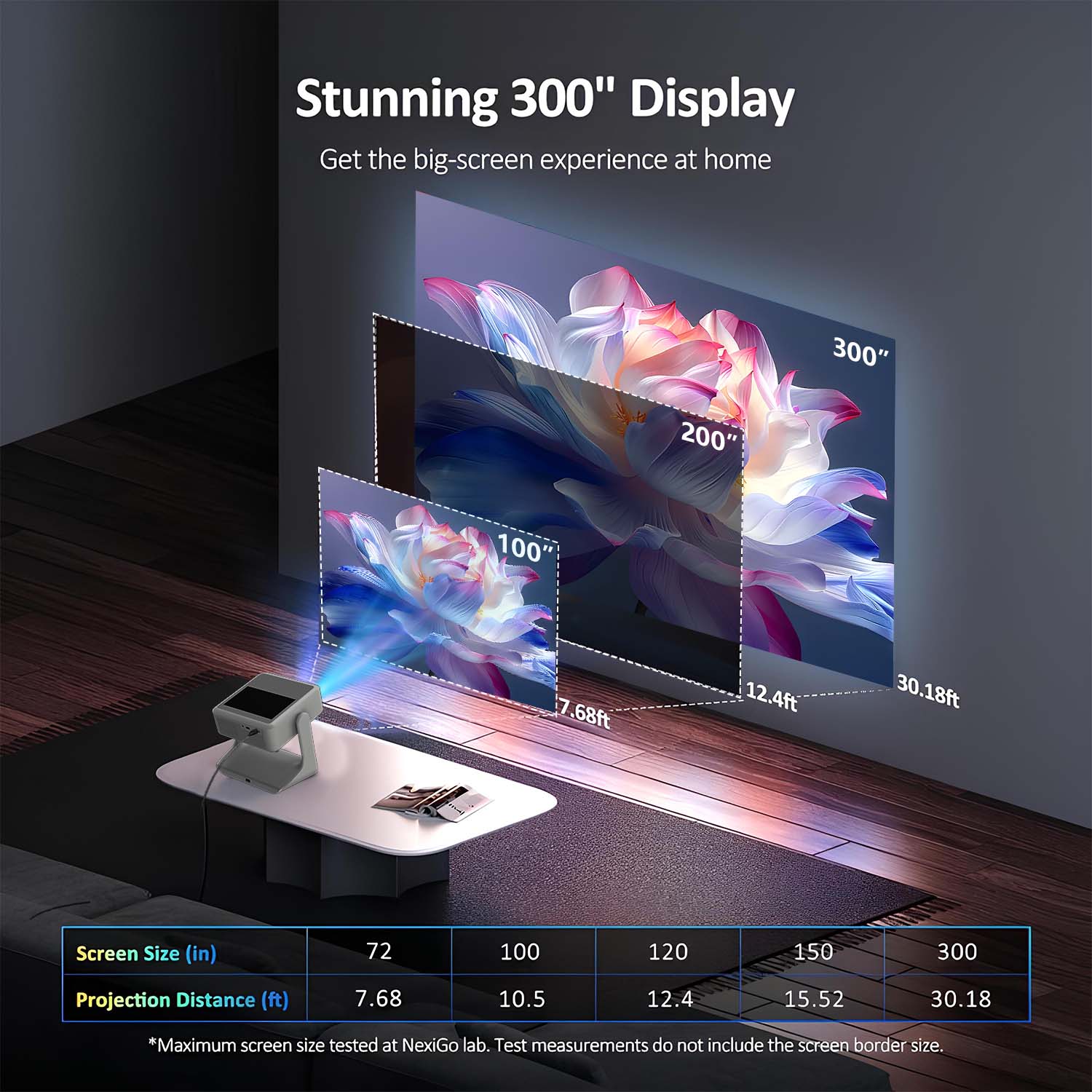 Portable Sports Projector Auto - Home Gym Video recensie en prijs