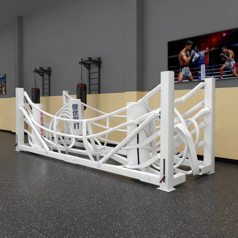 Foldable Gym Boxing Ring Set S - Home Gym Set recensie en prijs