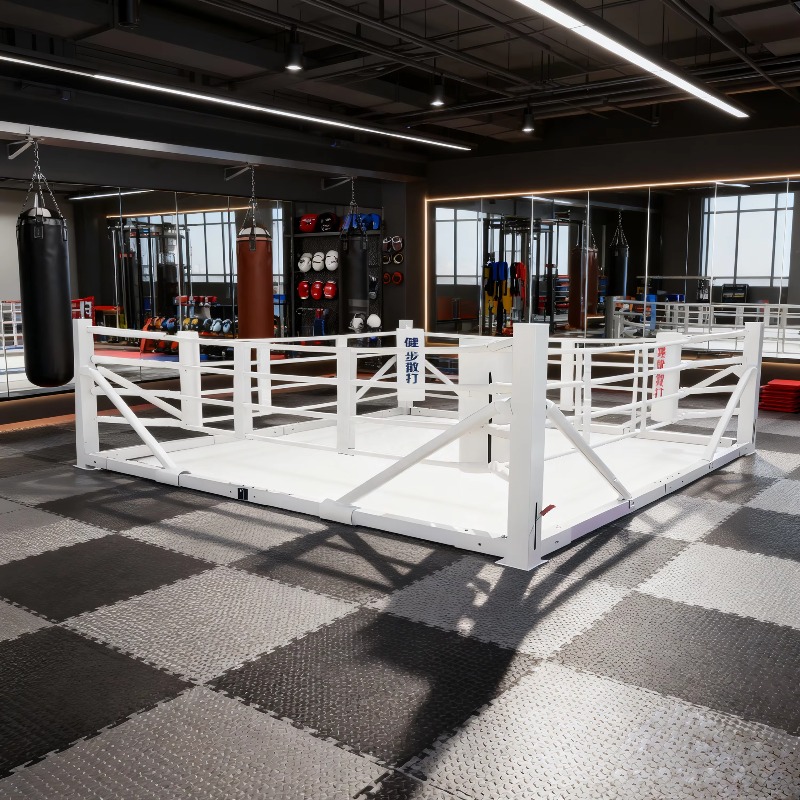 Foldable Gym Boxing Ring Set S - Home Gym Set recensie en prijs