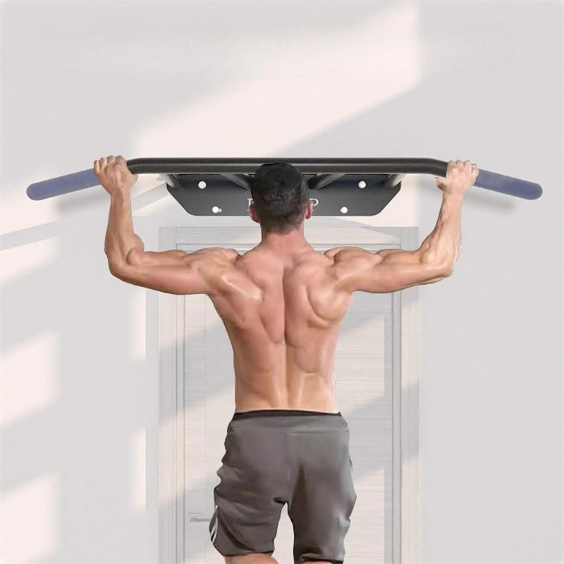 Heavy-Duty Doorway Pull up Bar - Home Gym Wall recensie en prijs