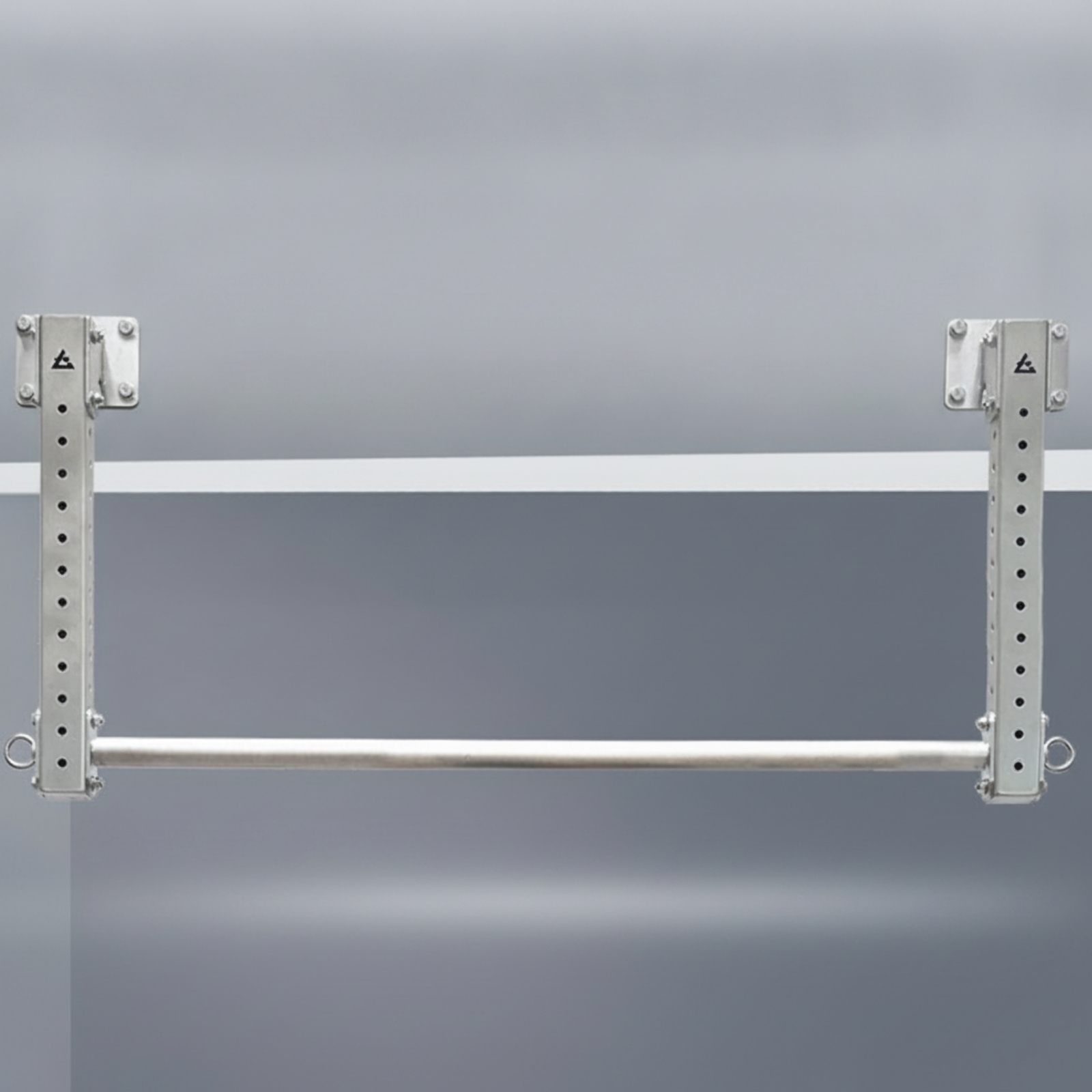 Pull-up Bar with Hanging Rings - Home Gym Wall recensie en prijs