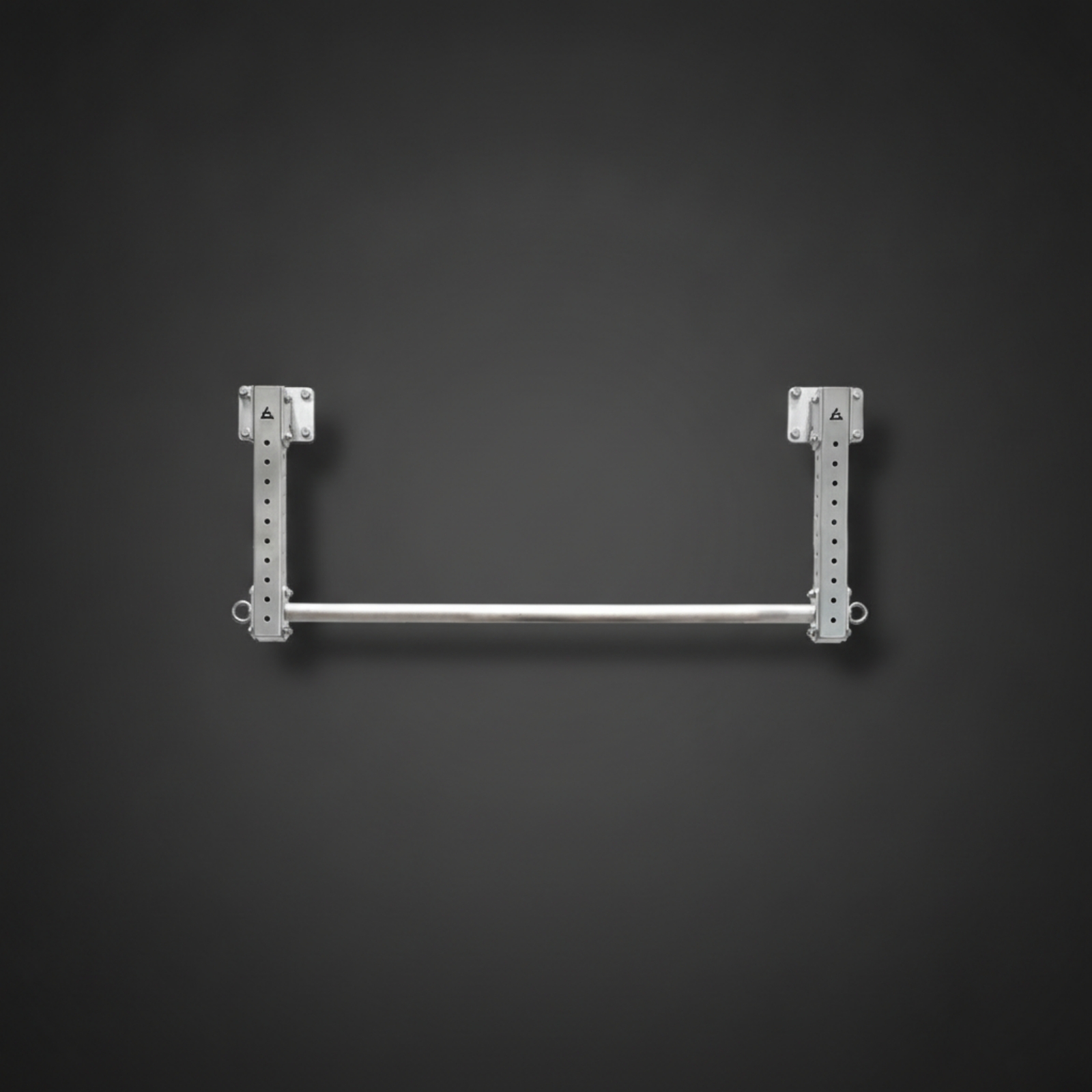 Pull-up Bar with Hanging Rings - Home Gym Wall recensie en prijs