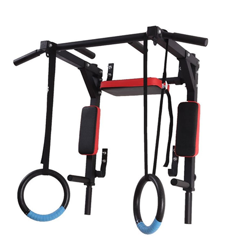 Heavy Duty Wall Mounted Parall - Home Gym Wall recensie en prijs