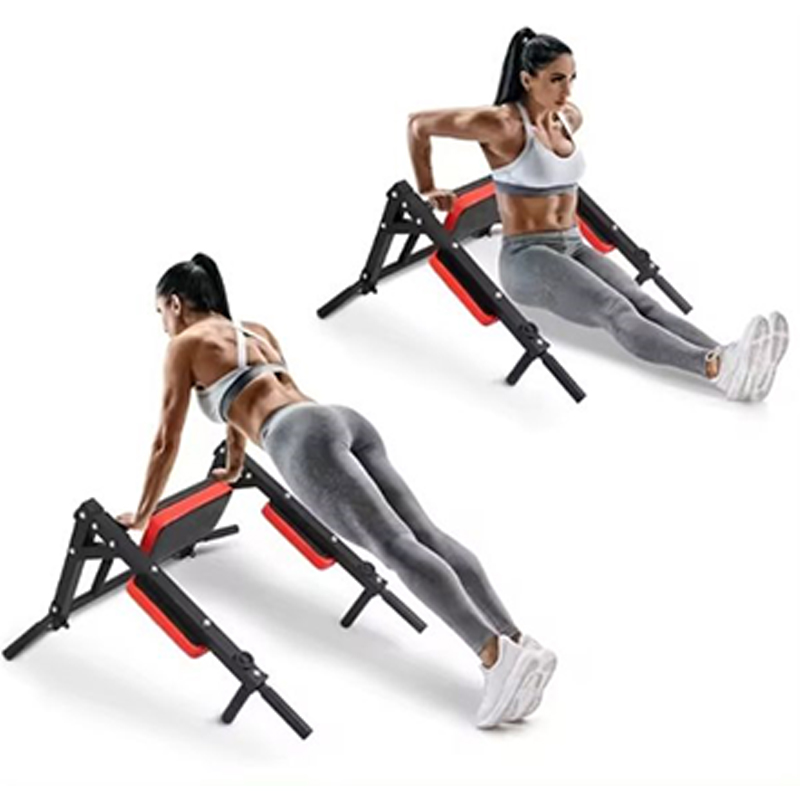 Heavy Duty Wall Mounted Parall - Home Gym Wall recensie en prijs