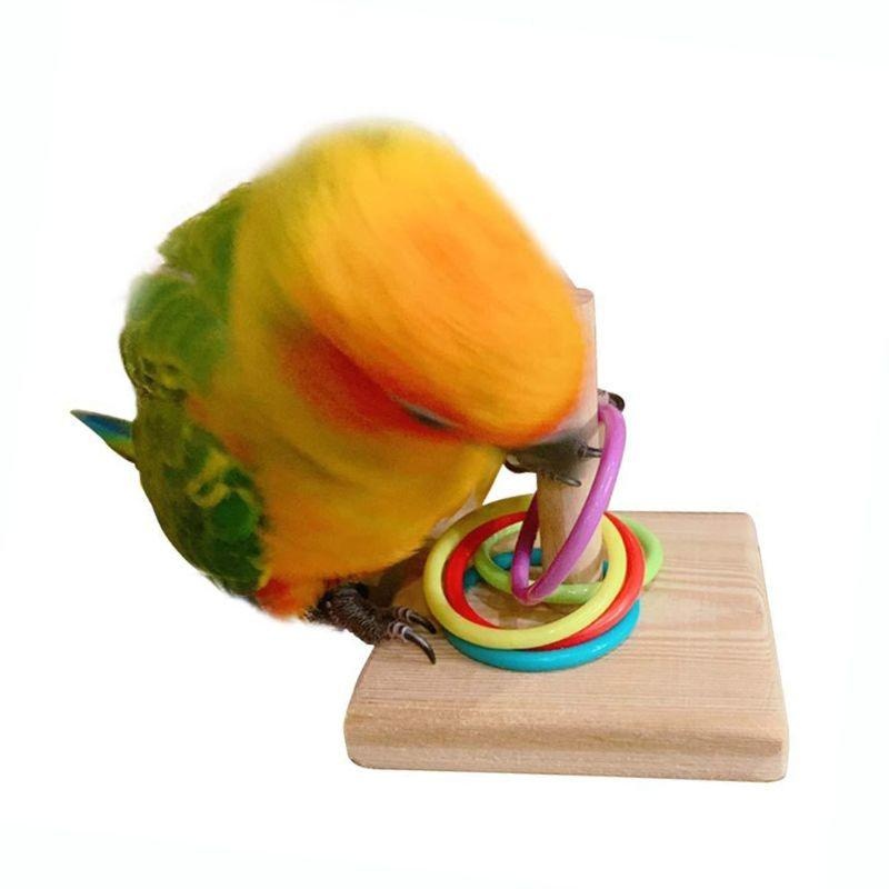 Bird Training Ring Toy Parrot  - Gymnastic Rings Wooden recensie en prijs